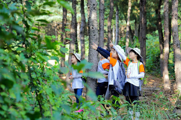 ▲ 녹색교육센터가 소외계층 아동을 위한 숲 생태감수성 향상 프로젝트 와숲 활동을 시작한다. <사진=녹색교육센터>