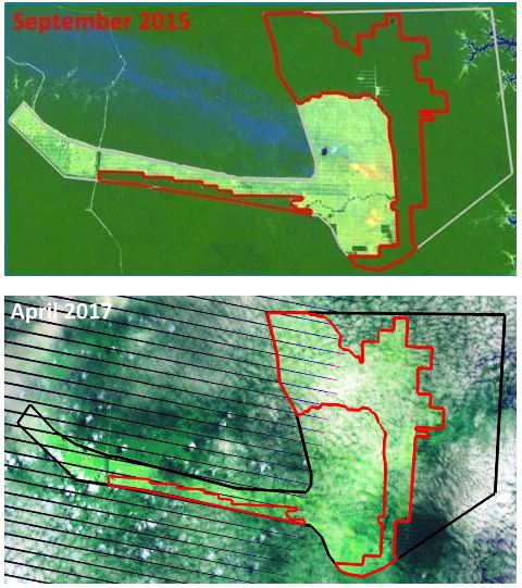 ▲ 포스코대우 자회사 PT BIA가 파괴한 산림을 보여주는 최근 위성사진. BIA 회사는 2015년 9월부터 2017년 4월까지 불과 8개월 동안 약 9900ha의 숲을 정리했다.