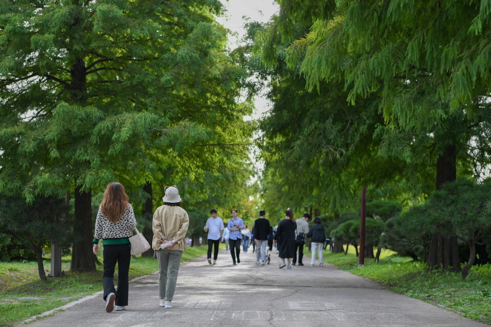 드림파크 야생화단지를 산책하는 시민들